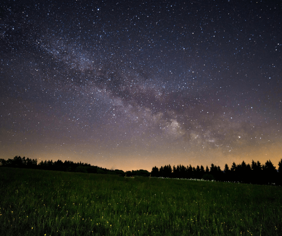 Captivating night sky filled with twinkling stars and silhouettes of trees, offering a mesmerizing view of nature's celestial spectacle.