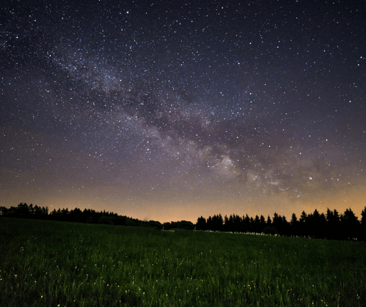 Captivating night sky filled with twinkling stars and silhouettes of trees, offering a mesmerizing view of nature's celestial spectacle.