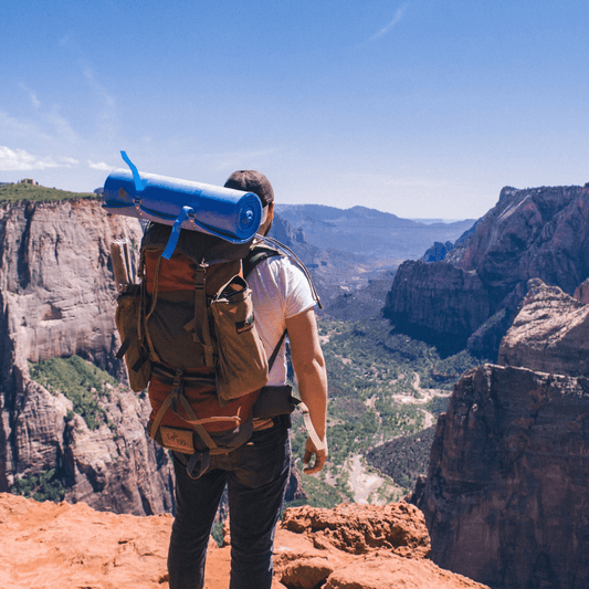 Hiker admiring the natural beauty of a kanyon in an American National Park - adventure, nature, scenic views