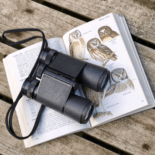 Binoculars and birding guide book - essential equipment for bird watching beginners
