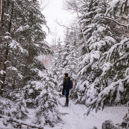 Hiker enjoying a winter hike in a snow-covered forest, surrounded by natural beauty and serenity