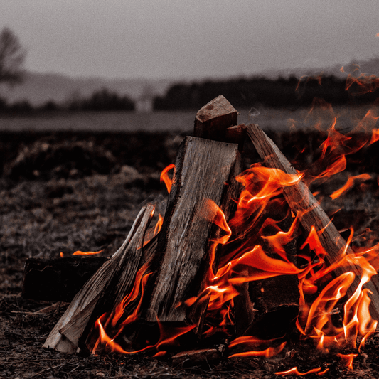 Leave No Trace: Responsible Campfire Practices - Minimize Your Impact on the Environment When Outdoors