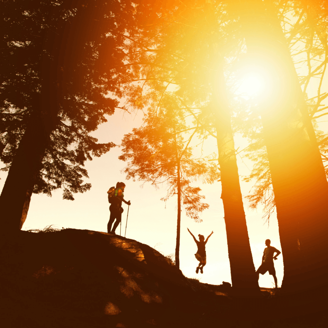 Hikers taking in the scenic view of a mountain range from a high point on the trail.