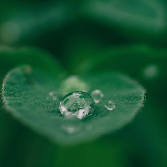Crystal-clear water droplet resting on a lush green leaf - nature's beauty and purity.