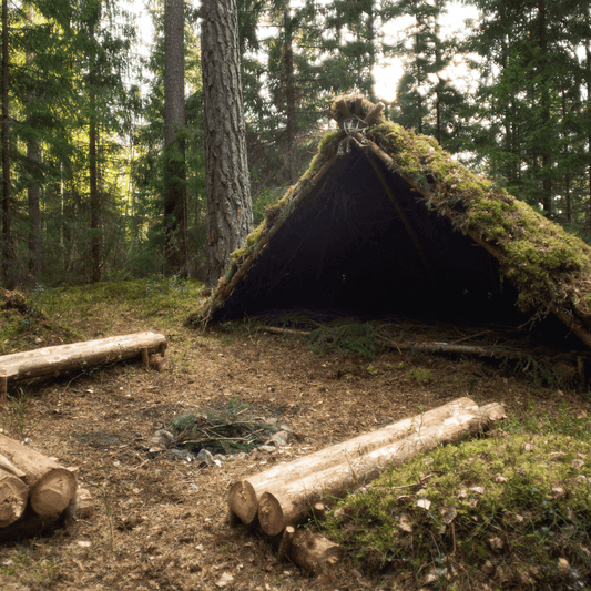 Survival shelter built with natural materials in the wilderness