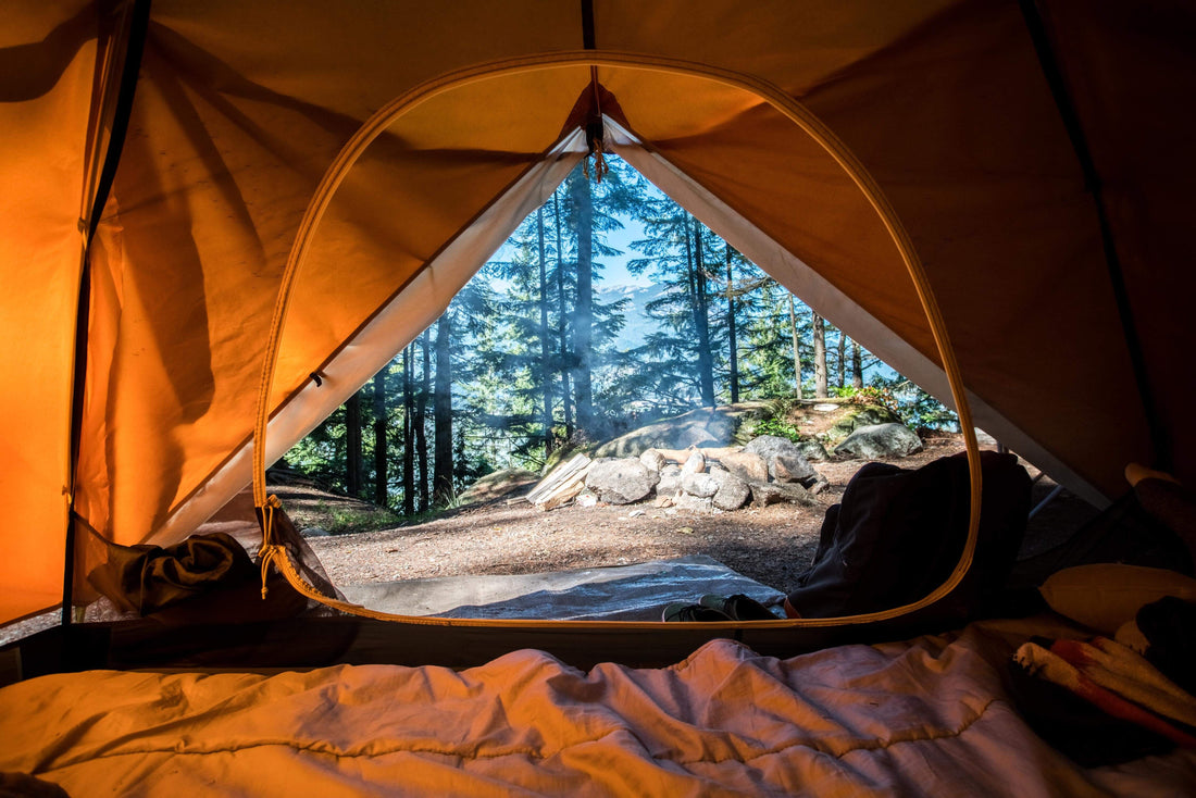 A serene camping scene of a green tent set up in a wooded area with tall trees and natural surroundings