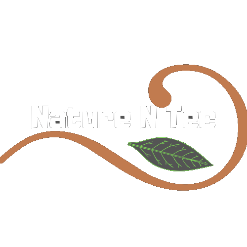 Nature N Tec logo, representing the company's commitment to providing high-quality outdoor gear and equipment for nature enthusiasts