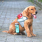 Convenient pet water bottles for keeping your furry friend hydrated